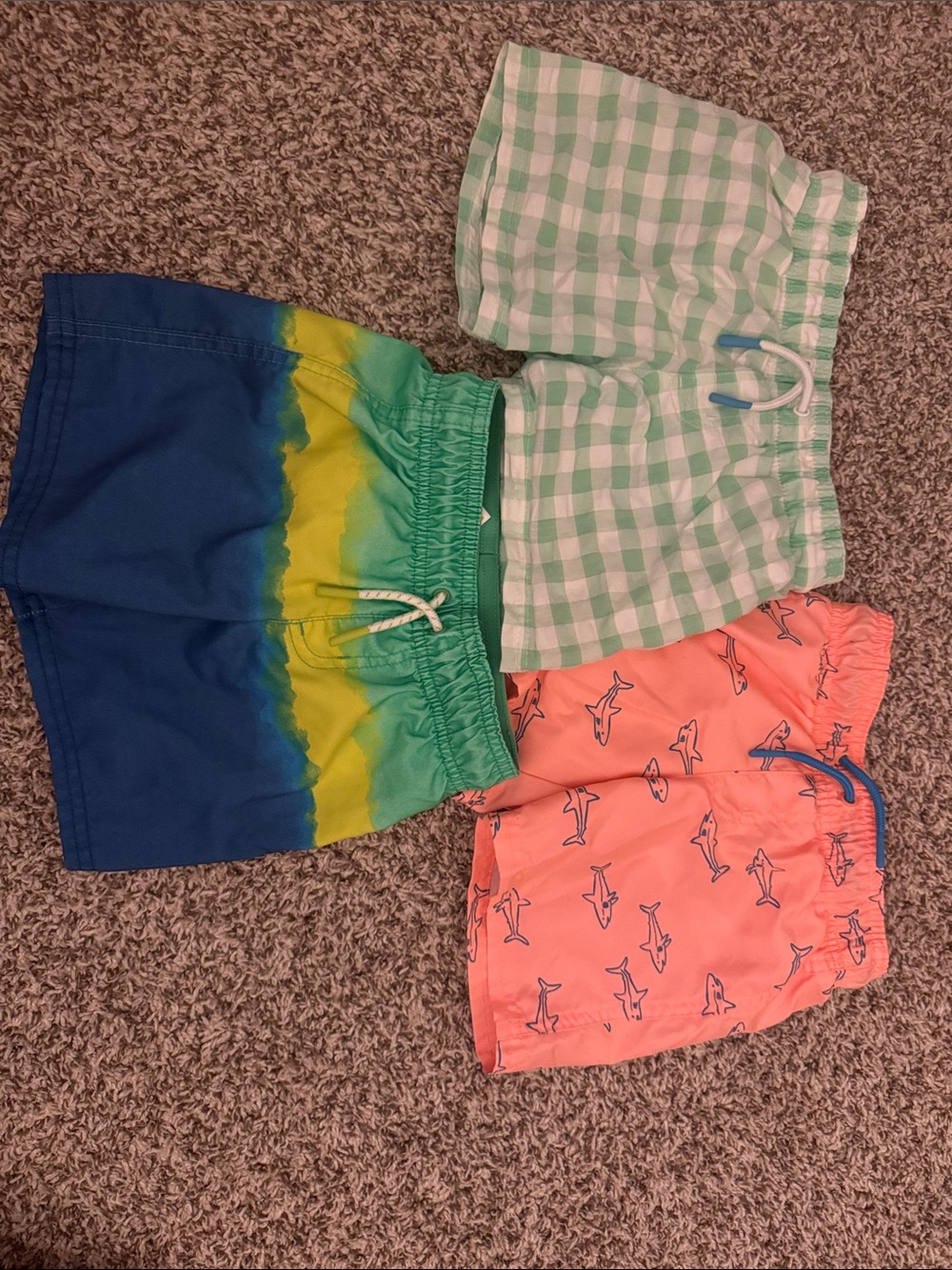 Boys Swim Shorts Trio - Green Gingham, Blue-Green Ombre & Coral Shark Print